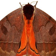 placecardaccountonline.com