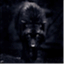 thewolfeden.wordpress.com