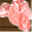 saltharvest.com