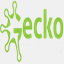 geckosecurity.com