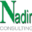 nadirconsulting.it