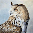 immobilienmakler-potsdam.com