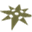 adventuresinpreservation.net