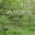 davidmichael.bandcamp.com