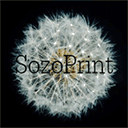 sozoprint.com