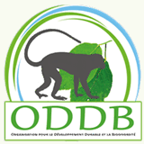 oddbong.org