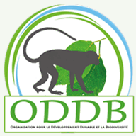 oddbong.org