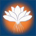 matthewancira.com