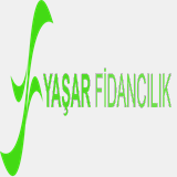 borostek.com