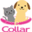 collar-style.com