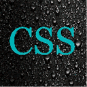 css-versiegelung.de