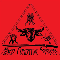 mixedcombativesystems.com