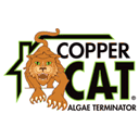 coralspringscollision.com