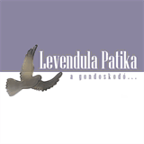 gphc-ulaval.com