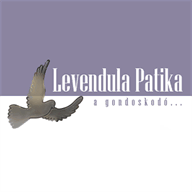 gphc-ulaval.com