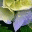 onefoxycraft.wordpress.com