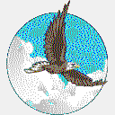 wingsaseaglesministry.com