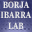 borjaibarralab.com