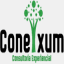 conexum-ce.com