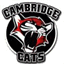 cambridgecats.com