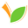fruvexpressjuicery.com