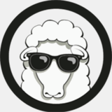 porscheofasheville.net