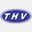 grupothv.com.br