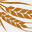 biofinmalt.com