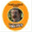 theprofessionalidiot.com