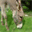 jaouad-assem.over-blog.com