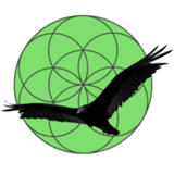 bladerunnerslawnservicelouisville.com