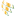 fireandfangs.com