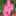 craigspinksnursery.com