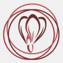 hotelbucanevebardonecchia.it