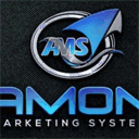 amonmarketingsystem.com