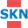 skn.ru