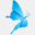 translationalresearch.ca