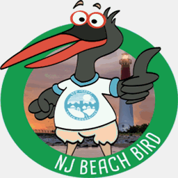 njbeachbird.org