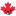 savvybeaver.ca