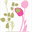 flyuas.com