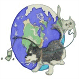 bullseyecarinsurance.org