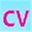 cvchina.net