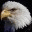 eagleviews.org