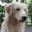oneformymaster.wordpress.com
