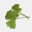 villas-ginkgos.com