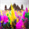 aiddelhi.over-blog.com