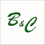 banginautoinsurance.com