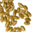 seed-sovereignty.org