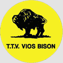 ttvbison.nl