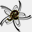 redbirdwebdesign.com